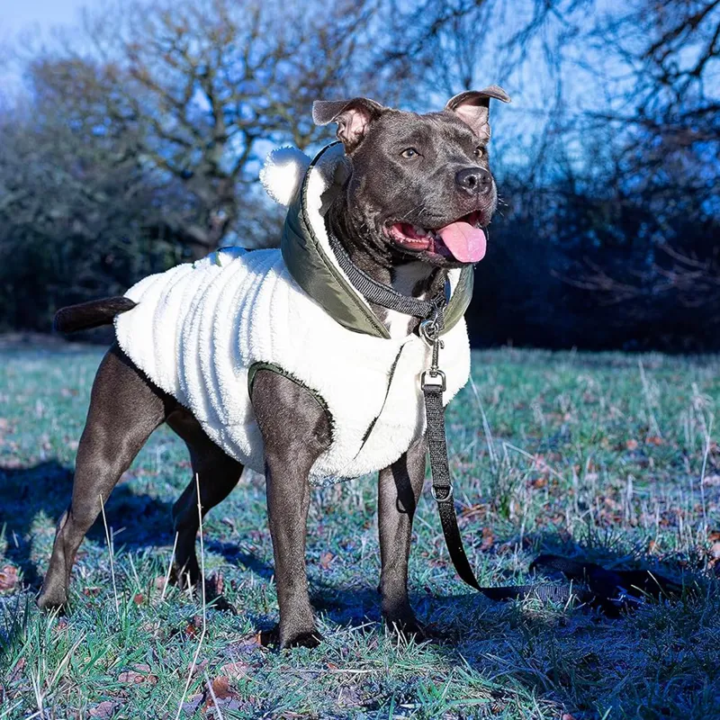 Rosewood Reversible Teddy Bear Dog Coat - Green-3